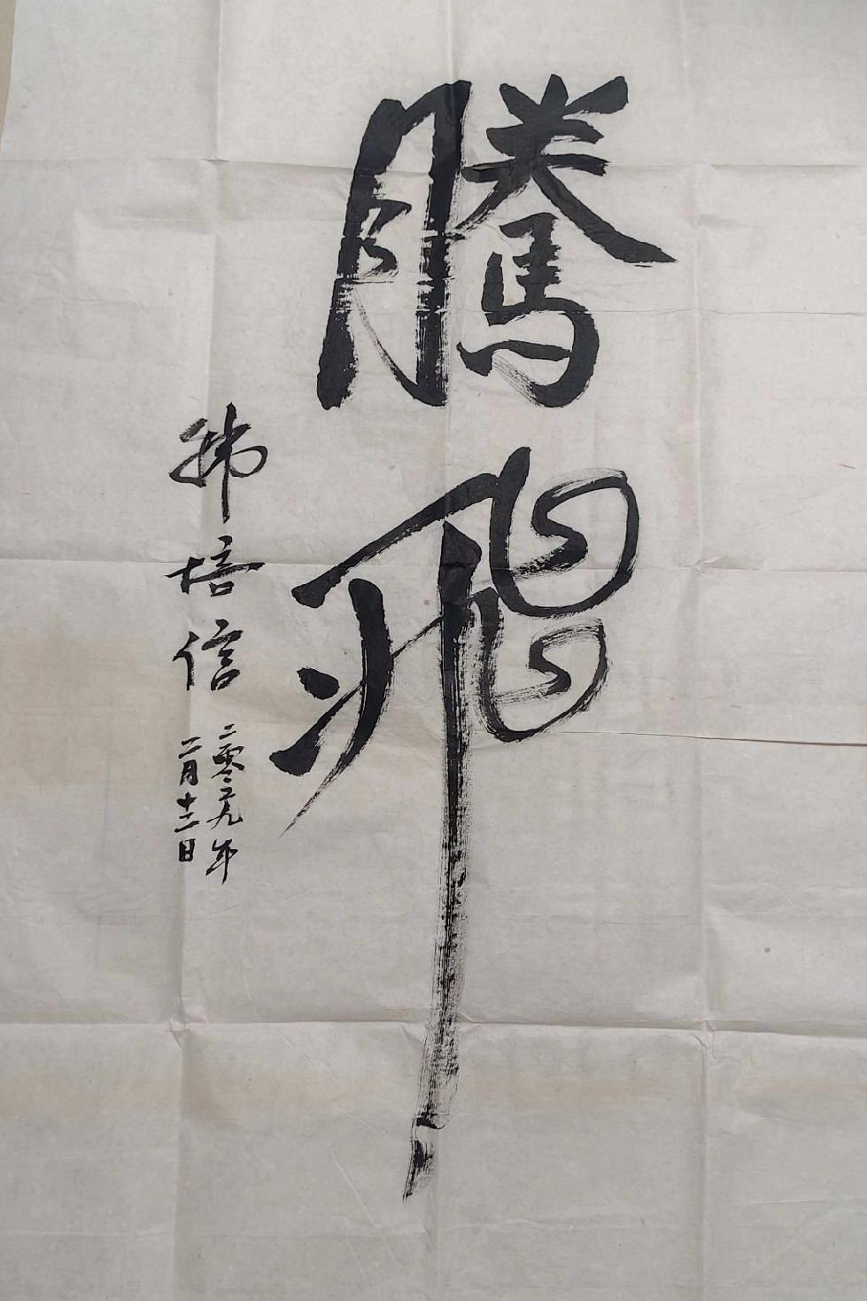 韩培信的两幅书法作品赏析，第一幅《腾飞》单字幅，是2009年2月12创作的，“腾