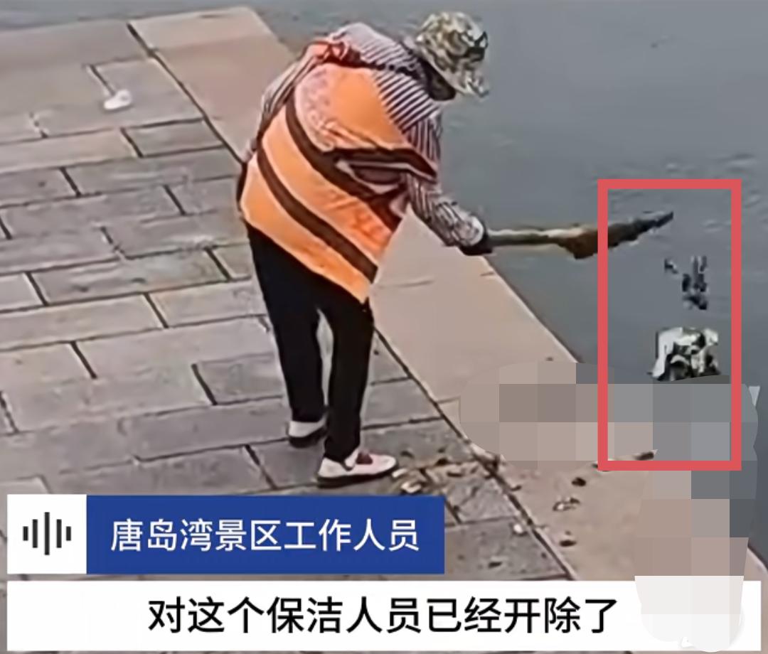 我大姨就是一名城市环卫工！大姨说青岛这个把垃圾被扫入大海的环卫工，被开除就是活