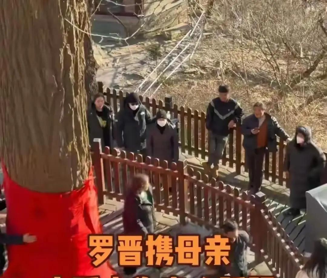 他们不是在求红运，是在填心里的洞。辛柏青刚失去父亲那阵，推开了丹东大孤山那