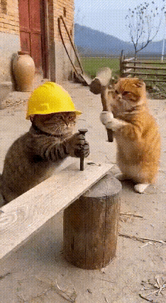 这得多大仇啊！一下，两下，老子不干了！跟你没完！[打脸][打脸][打脸