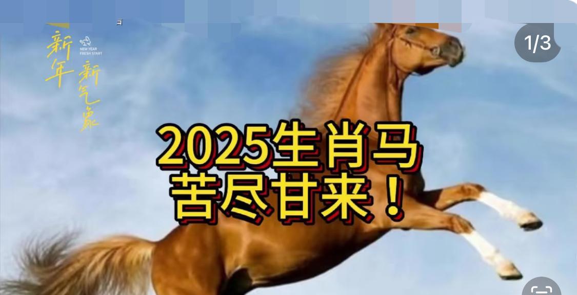 属马的朋友们，2025年曙光已现！过往的磨砺，让你们如淬火之钢。这一年，职场似广