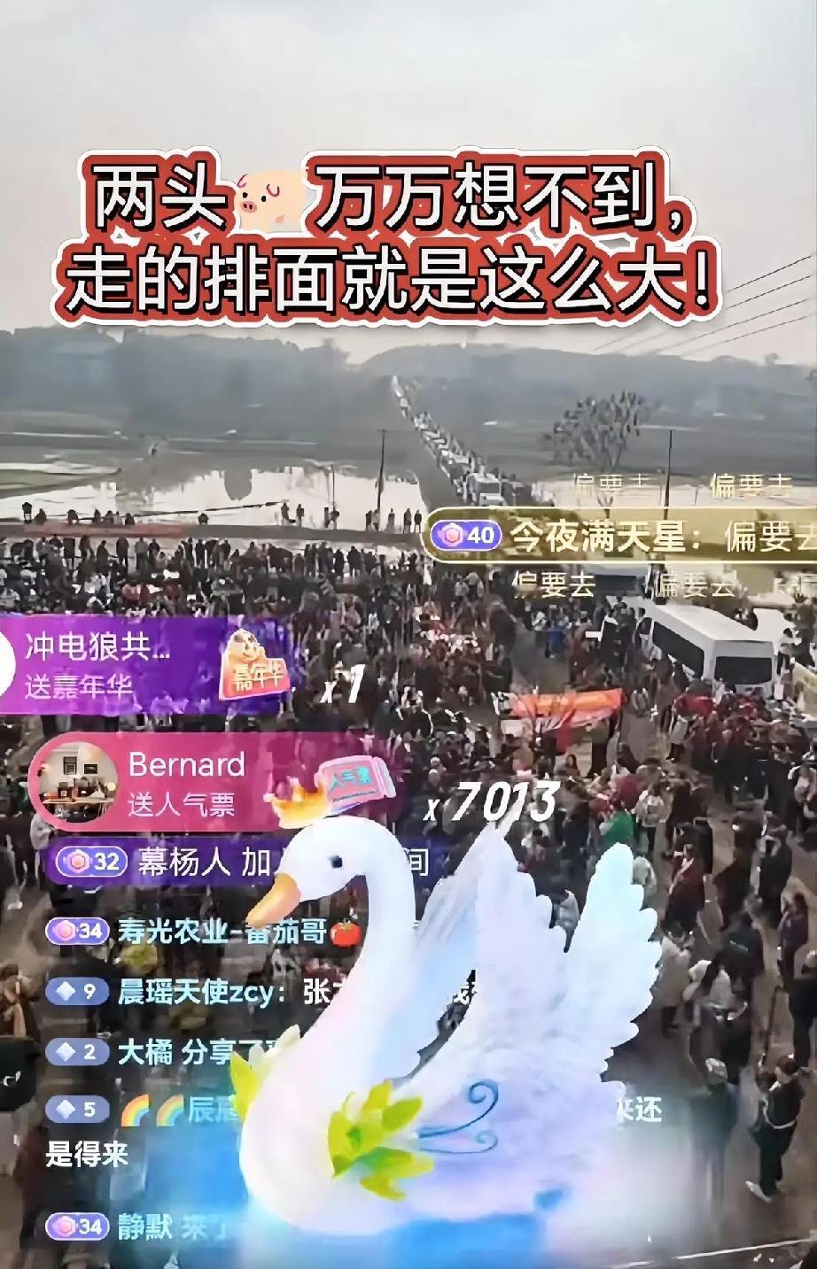 美甲店主两天狂赚200万，勤劳真的能致富？美甲店主“呆呆”凭热度爆火，