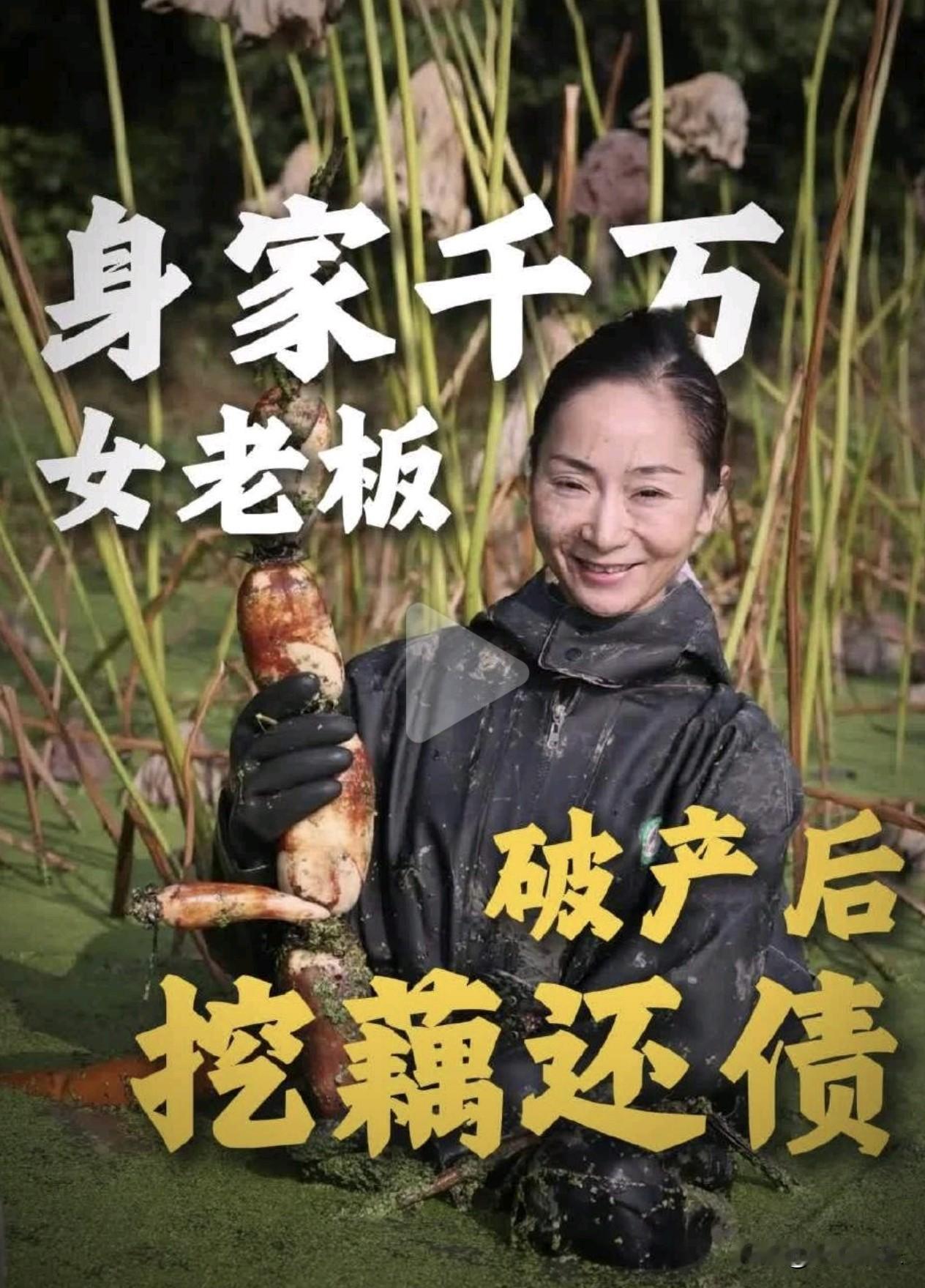 从千万富姐到“泥腿子”，44岁女老板破产后直播挖藕还债500万！你能想象吗？