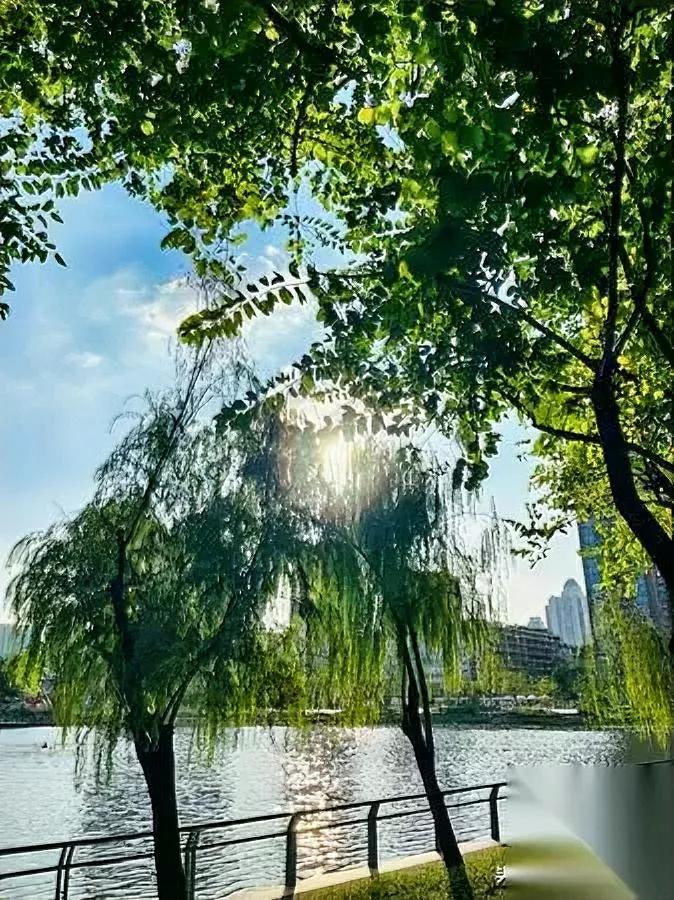 你有没有发现——越长大越怕和“聪明”人打交道？不是怕输，是怕累：猜不透的
