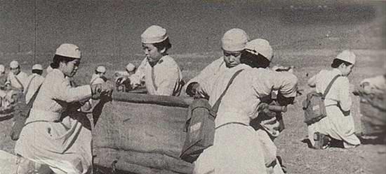 1946年的除夕夜，一群女护士在“吃药”的借口下，让伤员解放军们吃下了毒药，凌晨