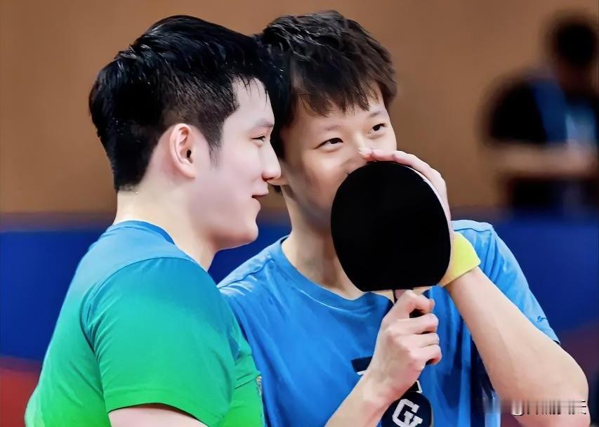 樊振东和林高远之间，有一条线。这条线就是欧洲乒乓球的水平线。樊振东在德甲大杀四