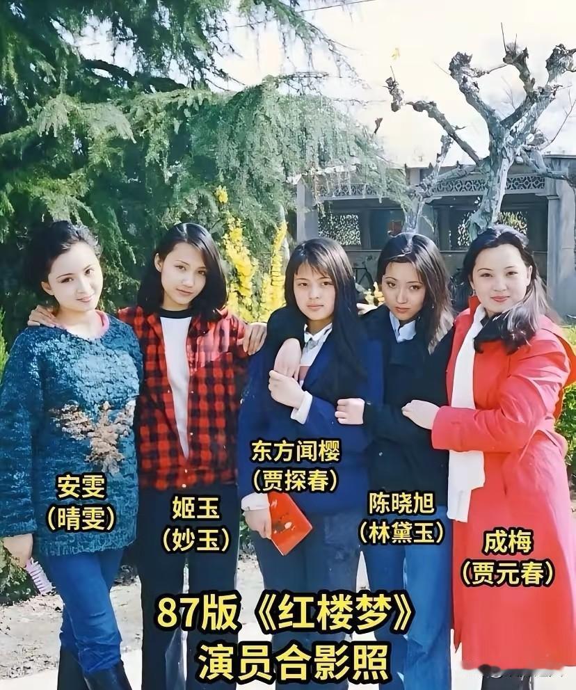 当年87版《红楼梦》里的这几位美女,放到现在能秒杀多少流量明星?你看这晴雯