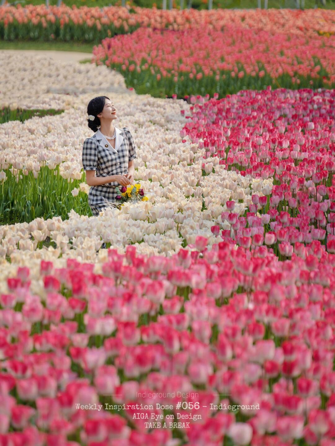 重庆拍照🌷太寺垭郁金香真的太有油画感了