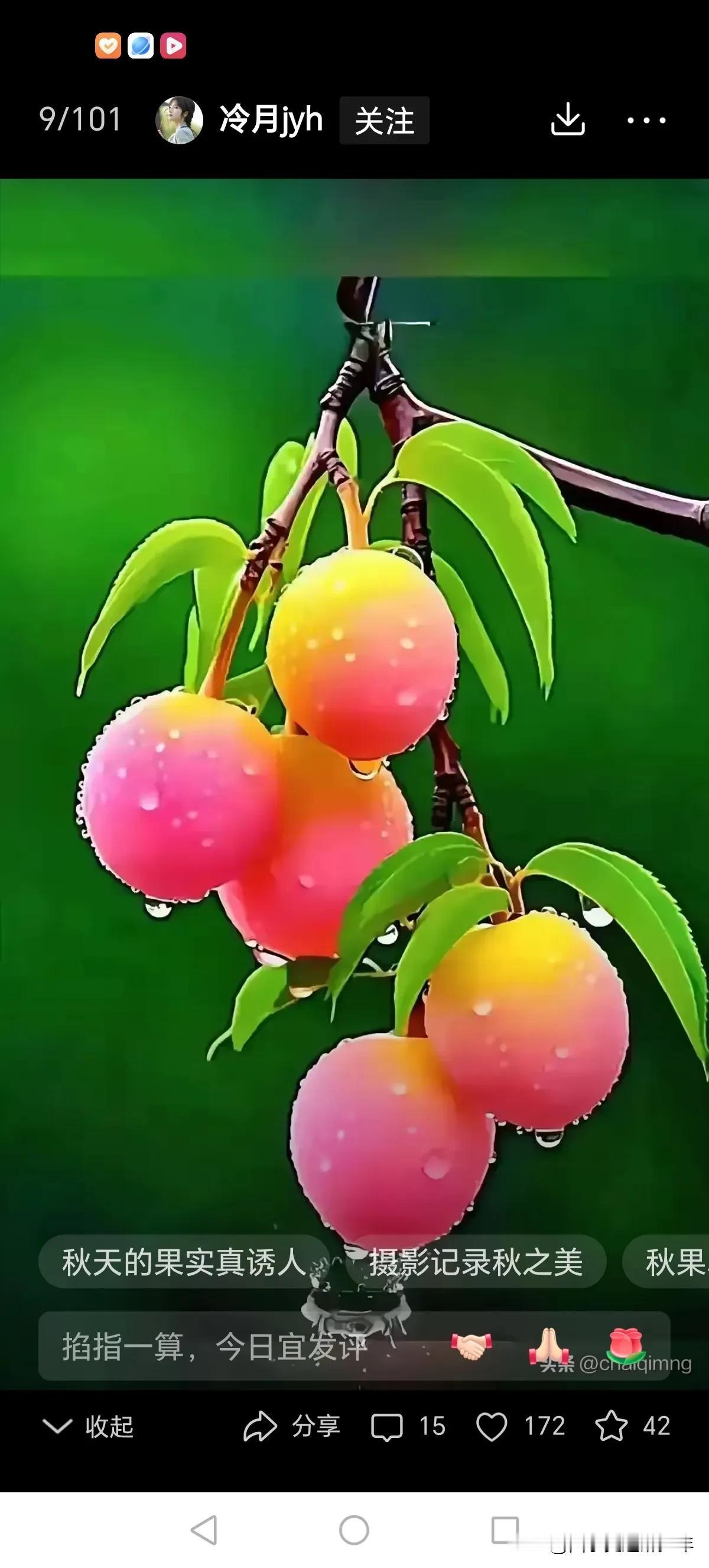 今日立秋。我眷恋夏天，可秋还是来了。刚刚立秋，还有夏的影子，她走后的余温。