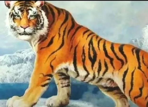 2026丙午马年，属虎逢合太岁，但伴五鬼、官符、羊刃凶星，主打稳中戒躁。