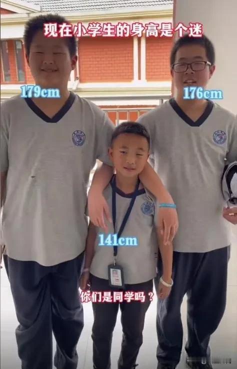 走在当下中小学的校园里，早已不是我们印象里孩童瘦小稚嫩的模样，不少小学高年级、初