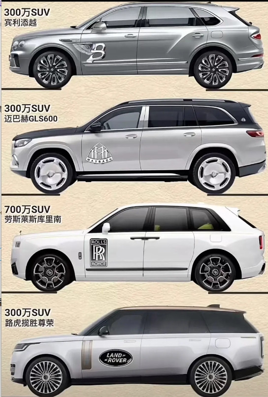 国产什么时候能有一席之地啊。