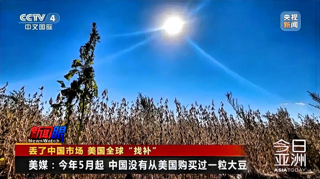 -中国大豆需求规模大且依赖进口：中国每年大豆需求量约1亿吨，而国内产量仅200
