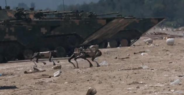 无人狗首次参与两栖登陆，结果全部被摧毁，无人狗到底有没有用？央视最近播的《黄