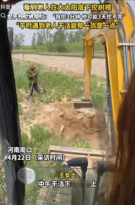 泪目了！”4月22日，河南周口，一老人在自家麦田里挖树根，正巧一开挖掘机的女子下
