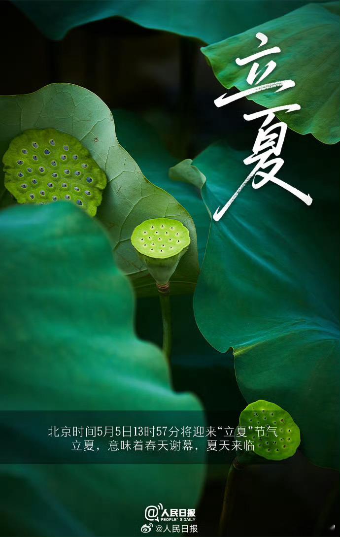 ​​​立夏【今日，立夏】5月5日13时57分迎来立夏①今天13时57分立夏，“