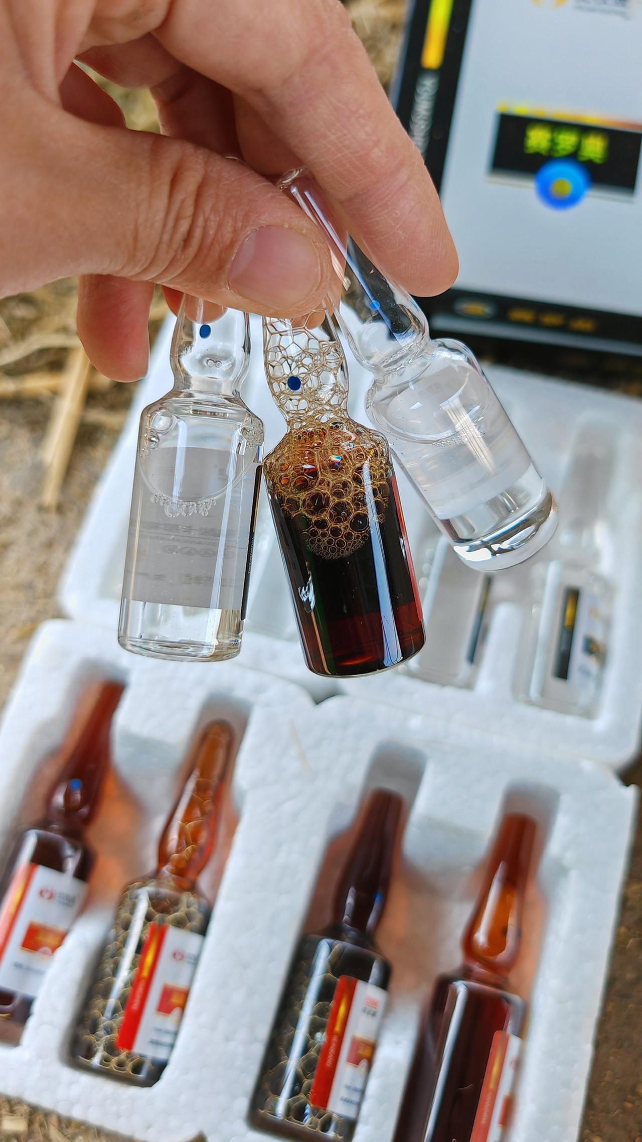 养羊人农村养羊牛羊养殖