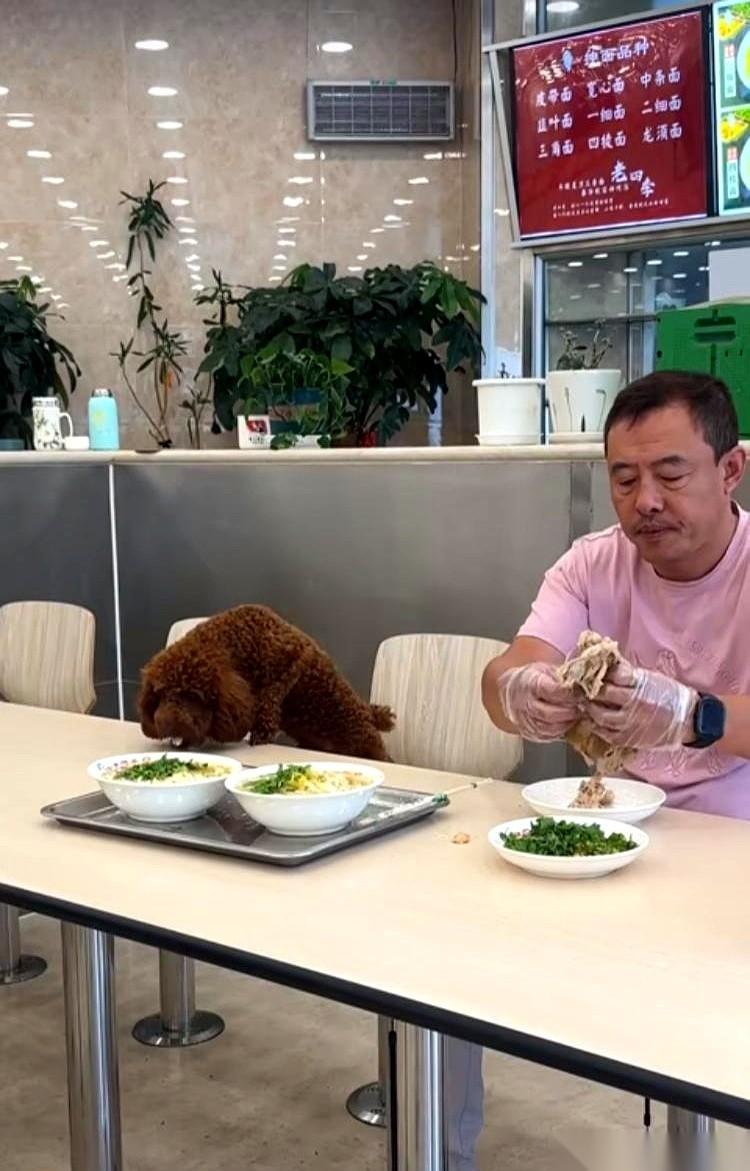 辽宁沈阳，一家老字号面馆里，热气腾腾。邻桌吸溜面条的声音，后厨传来的吆喝声，混