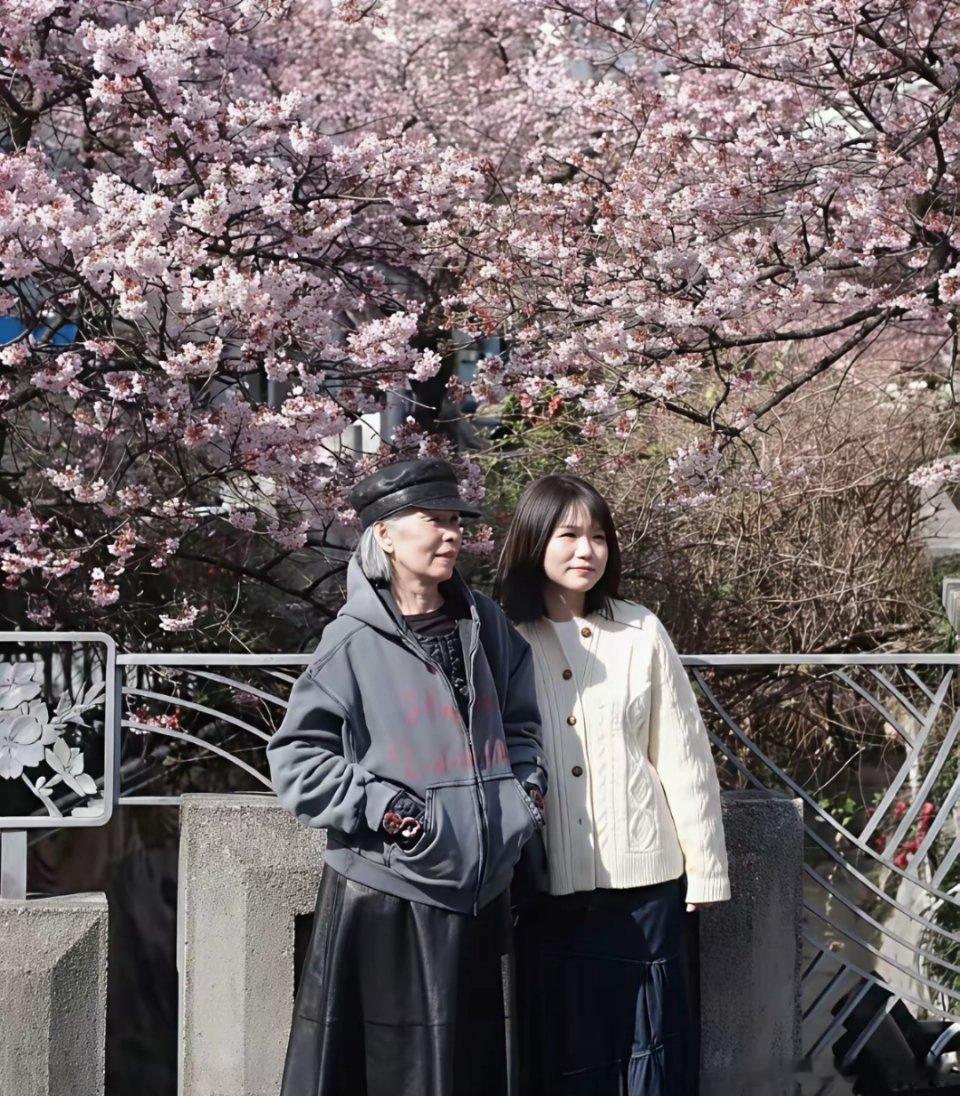 周杰伦的妈妈叶惠美在日本赏樱花被偶遇，老太太已经70多岁了，穿衣打扮还很潮，状态