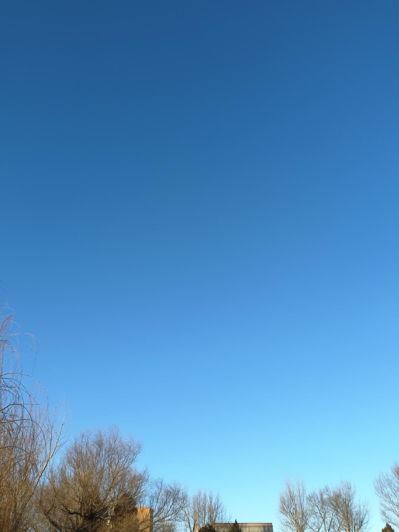 冬日暖阳下的静谧时光，蓝天白云，落叶飘零。