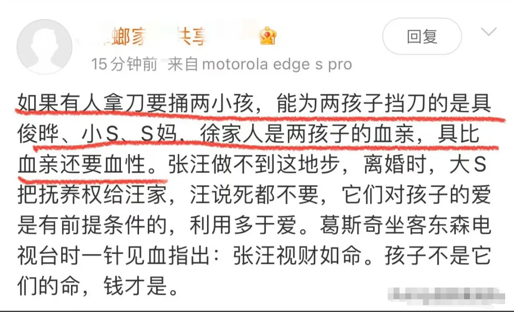 太好笑了！S粉这是给谁洗脑呢？称要是大S的孩子有危险，冲在前面为孩子挡DAO的会