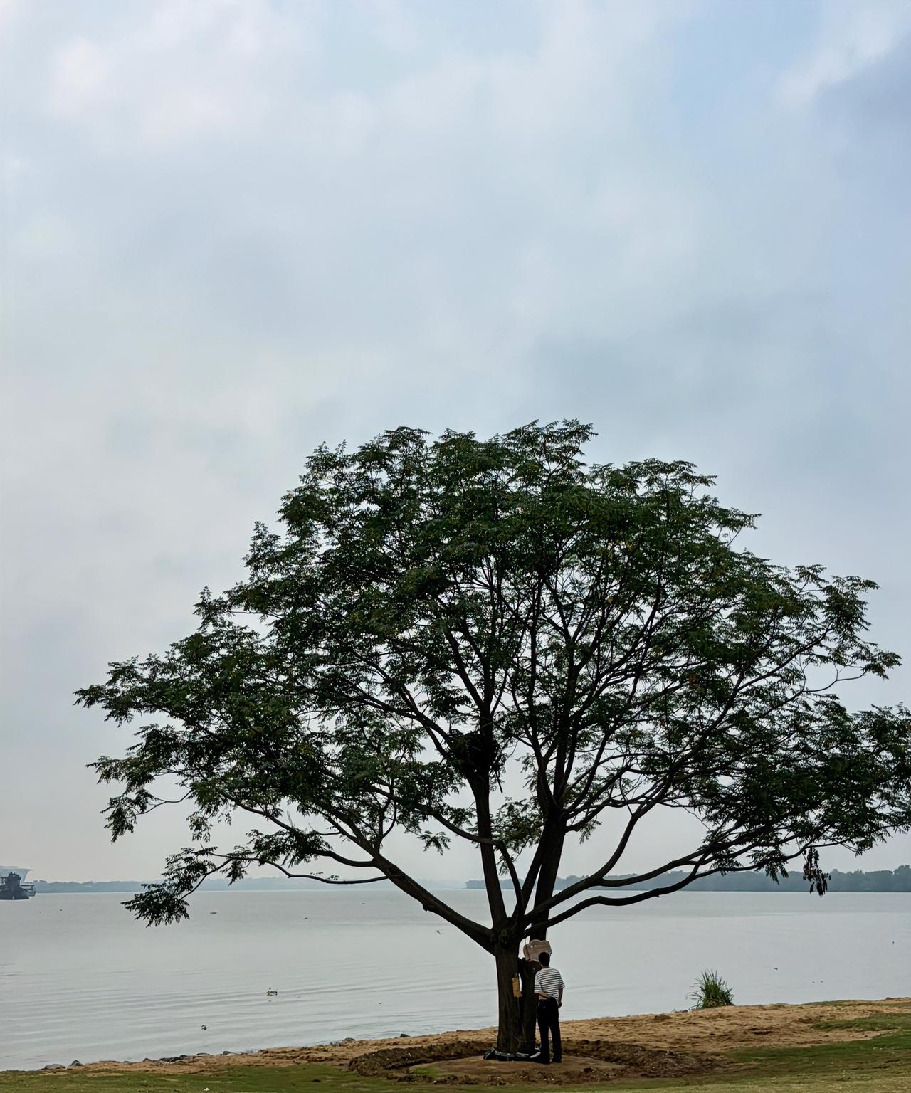 明天上午，在全校教职工大会上，就要宣布今年秋季老师们的任课安排了。在朋友们的