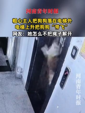 “离了个大谱！”9月20日，浙江，一女子遛完狗回家，牵着狗狗进电梯时，粗心的女子