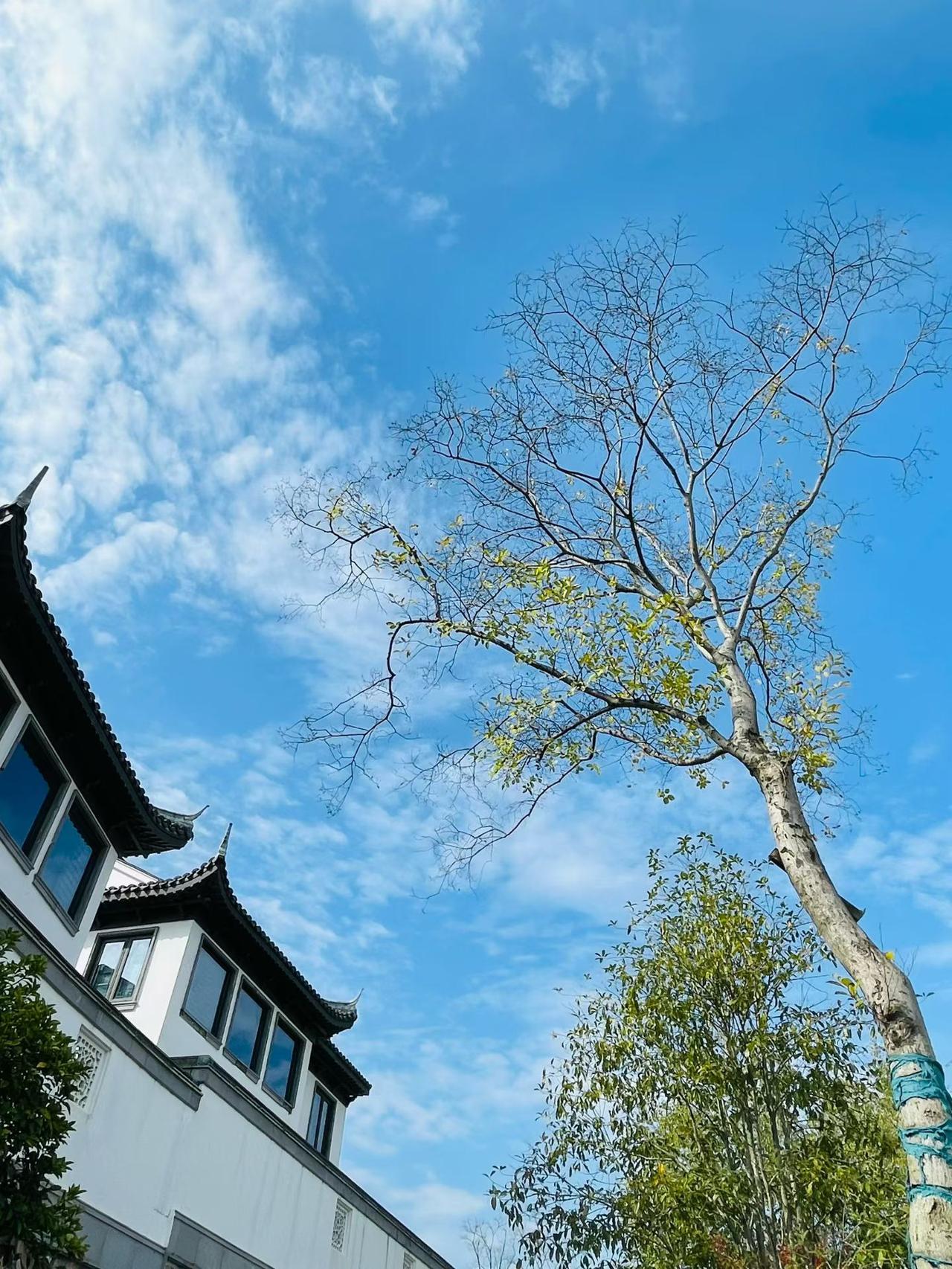 一个养生诈骗团伙竟骗了全国3000多名中老年人5亿多元。他们以免费体检、生态疗养