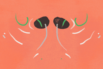 流鼻涕可不是什么烦人事，其实是身体在默默保护自己，就像个“天然防护盾”，而鼻涕的