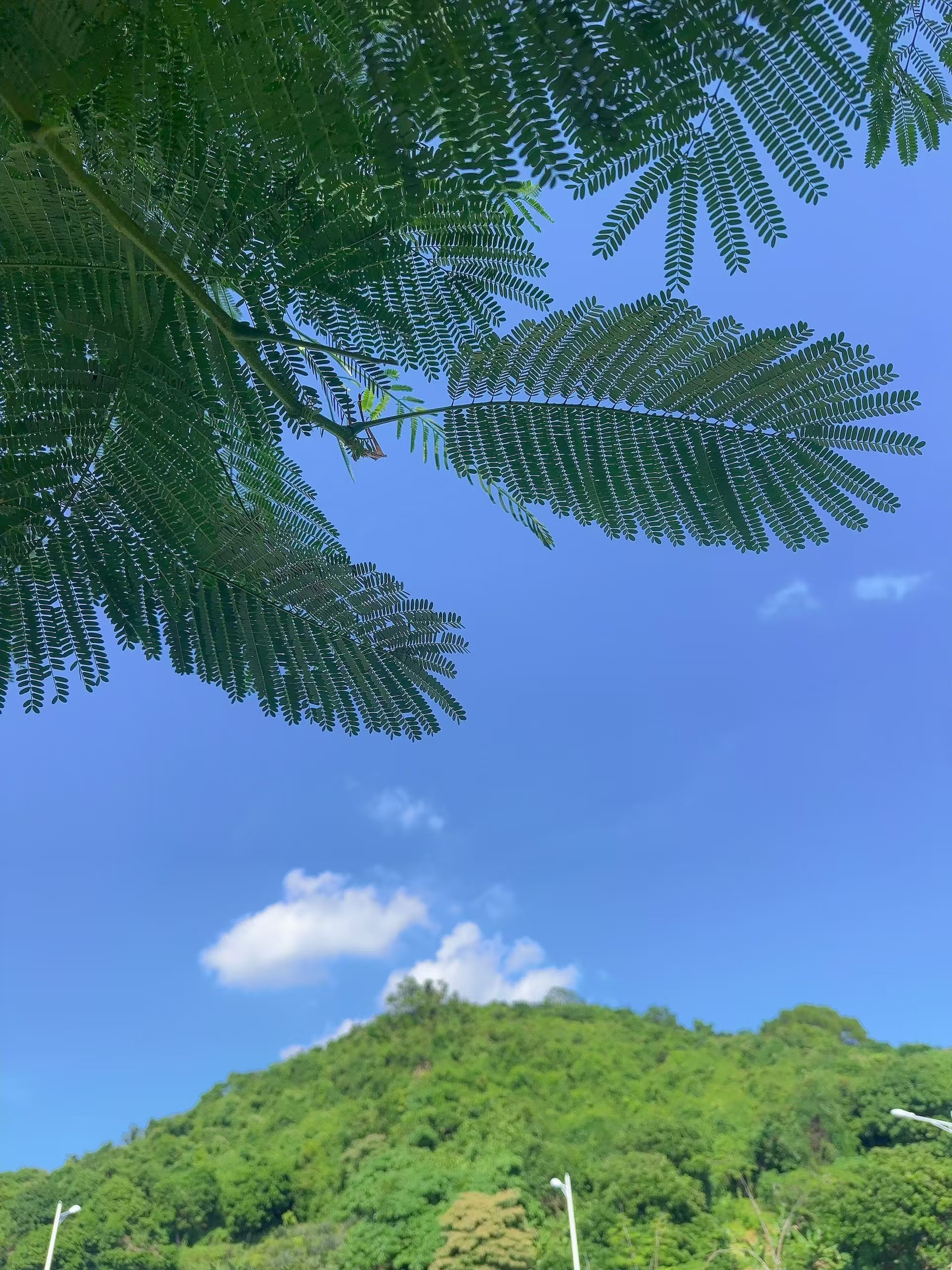📍𝑺𝒉𝒆𝒏𝒁𝒉𝒆𝒏天文台🌤️​​​