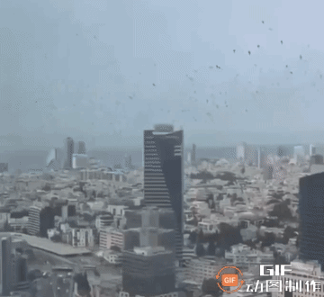 大量乌鸦聚集在特拉维夫上空和街头这不是啥好兆头啊许多老外网友将这一景象解读