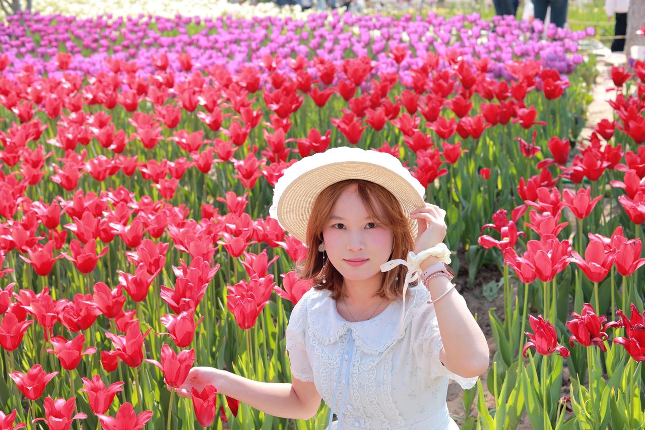 人像摄影约拍跟拍郁金香花海打卡我镜头里的美女郁金香女孩