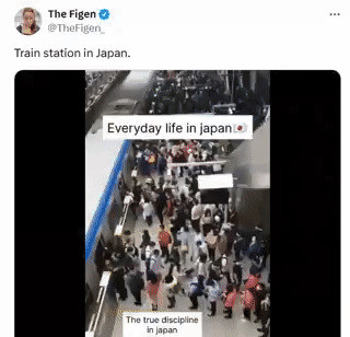 外国套路深，又想骗我们**文章：**