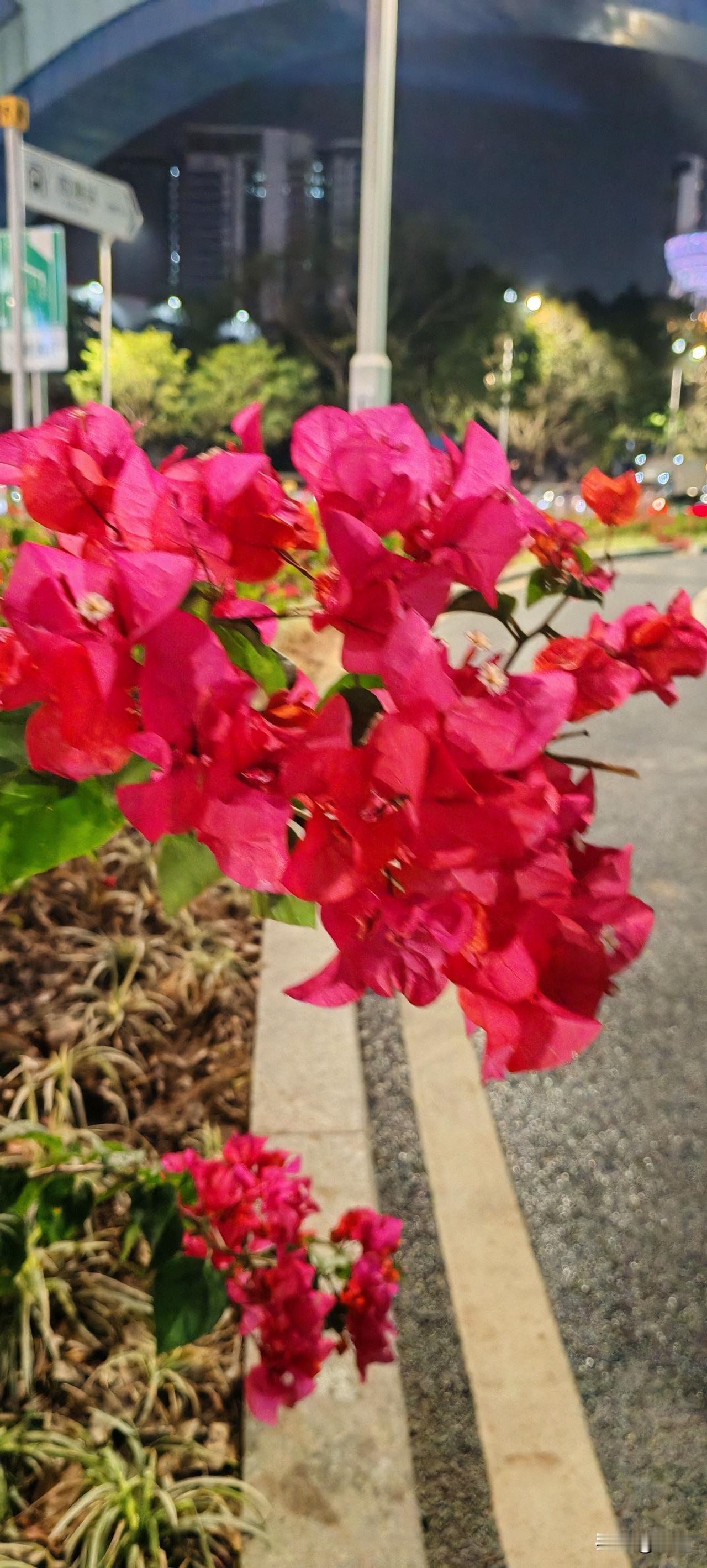 刚才看到一篇离婚两年的前夫突然给她打电话，限她5天内将户口迁走，不然销户的头条。