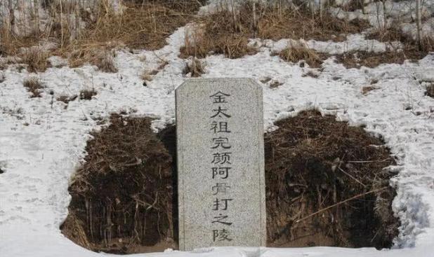 1149年的金朝宫廷，暗流汹涌。宫殿高墙内，表面歌舞升平，实际上权力与欲望交织。