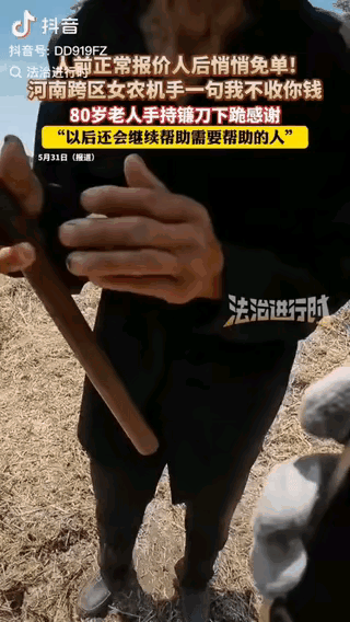 泪目。女农机手从河南到湖北跨区收麦，一位80岁大爷怯生生问她：“多少钱一亩？”女