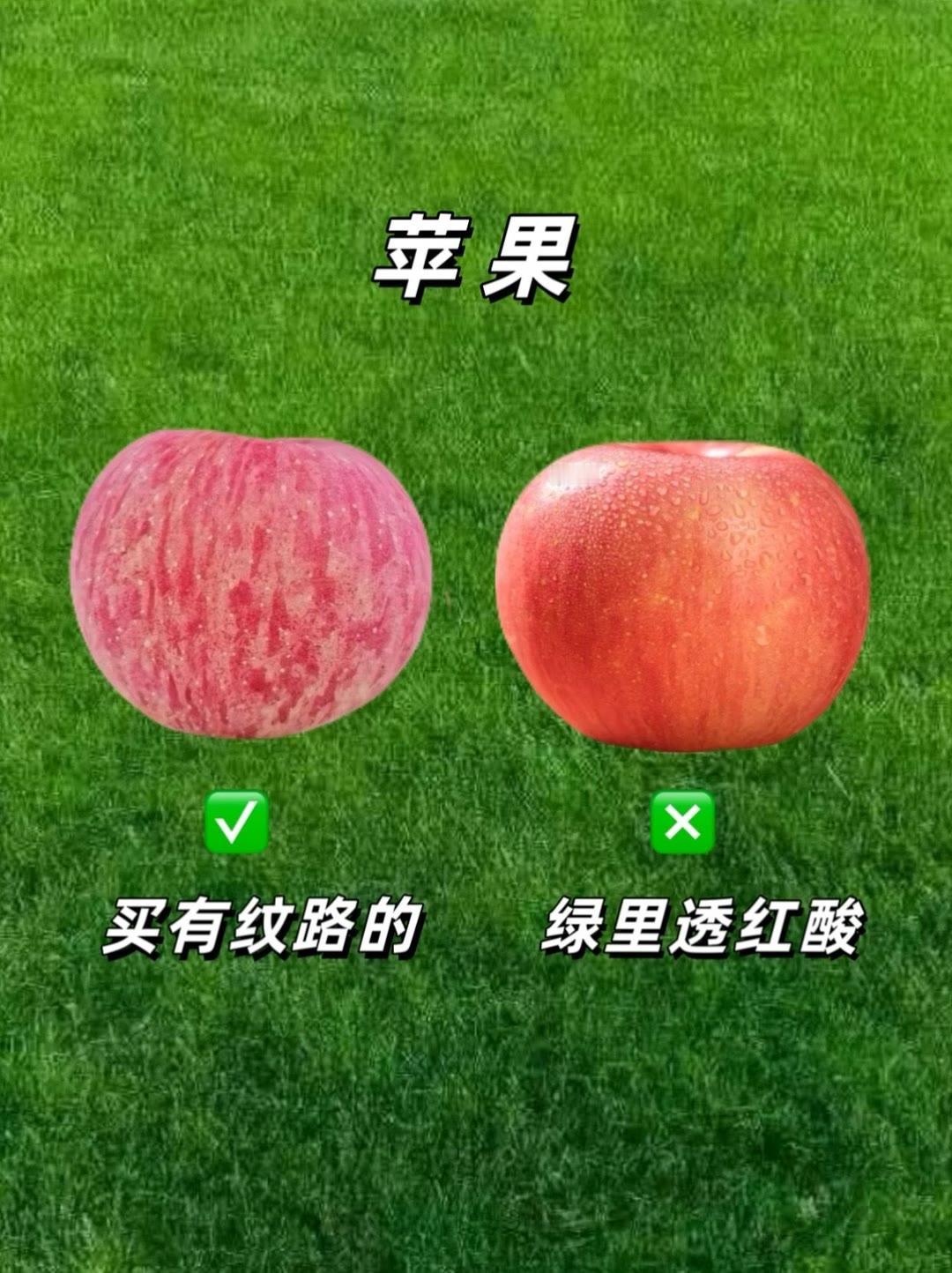 干货❗️7种水果挑选攻略。涨见识看完别再踩坑啦，尤其第六图小编就经常挑错，