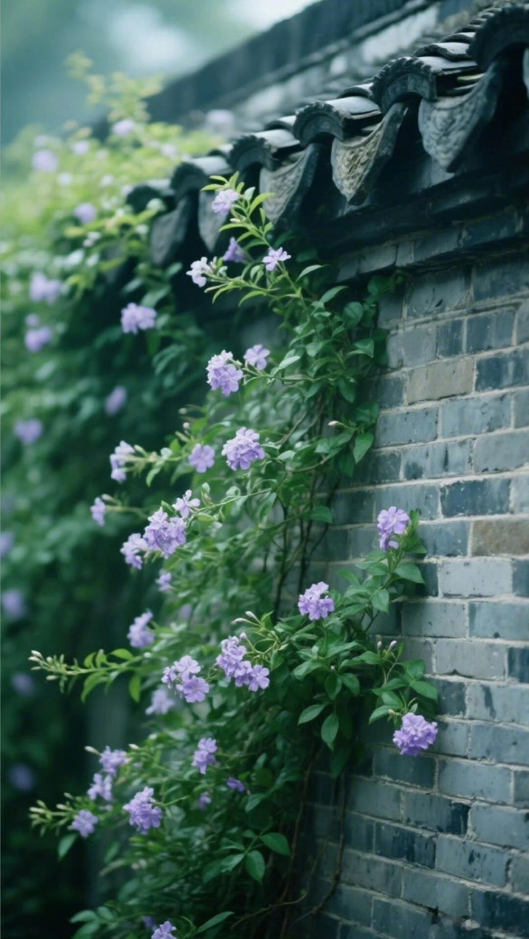 春生夏长秋收冬藏，顺应自然才是最好的养生🌱夏不吃冰护脾胃，冬食萝卜顺气机，把