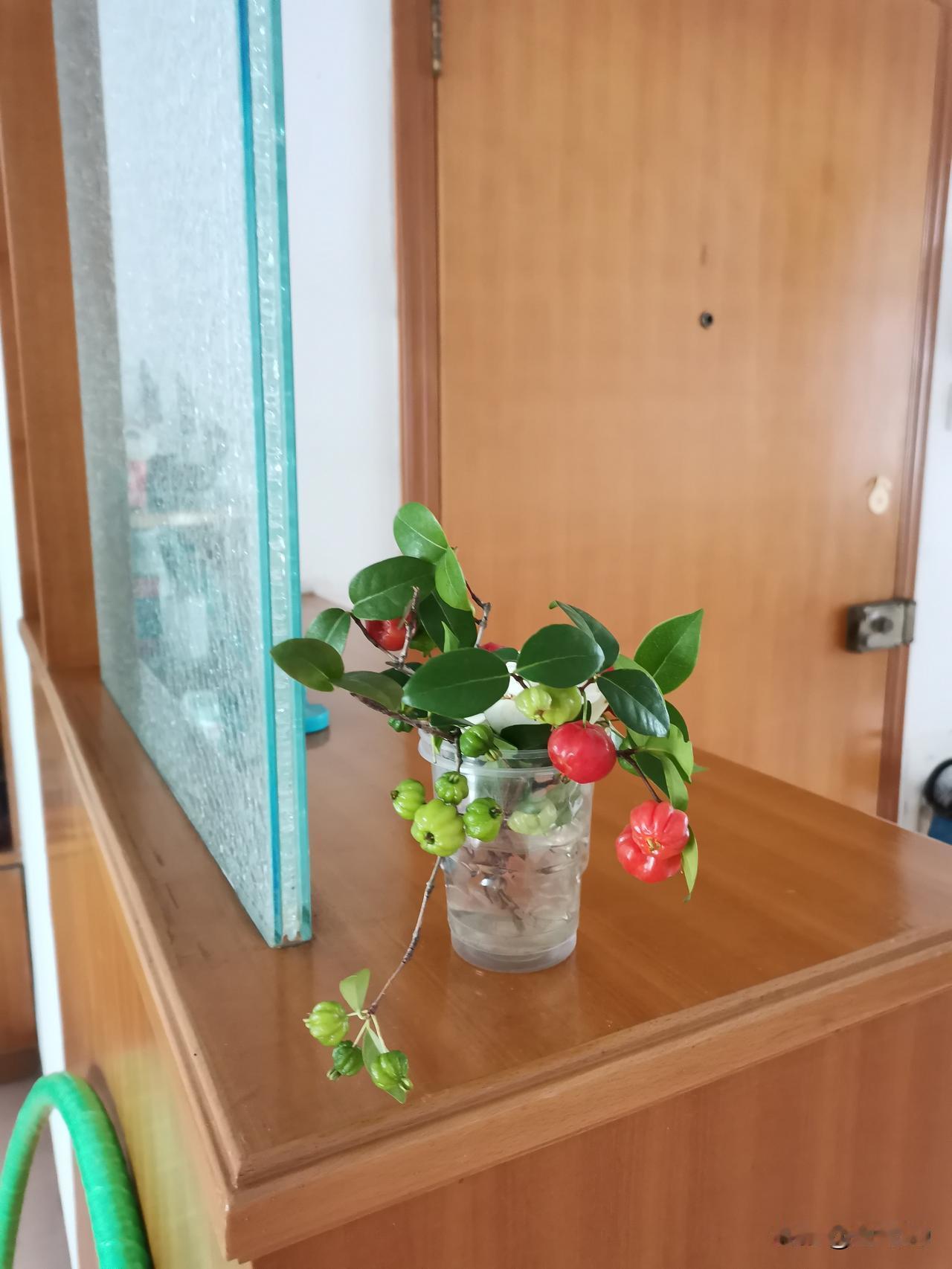 一个很认真的人，做了一回马大哈，摆了一个大乌龙。昨天上午8点钟，儿子开车送我们