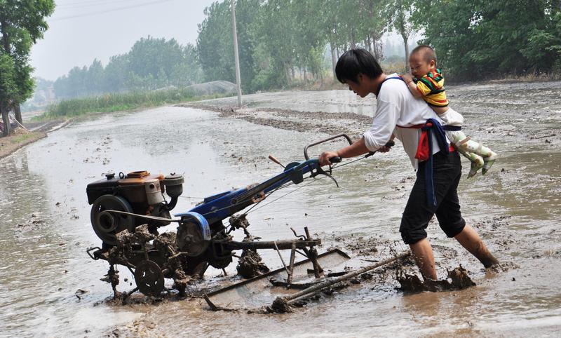 家人们，你们有没有发现个怪现象？好几代都干体力活的家庭，孩子要是想做生意，那难度