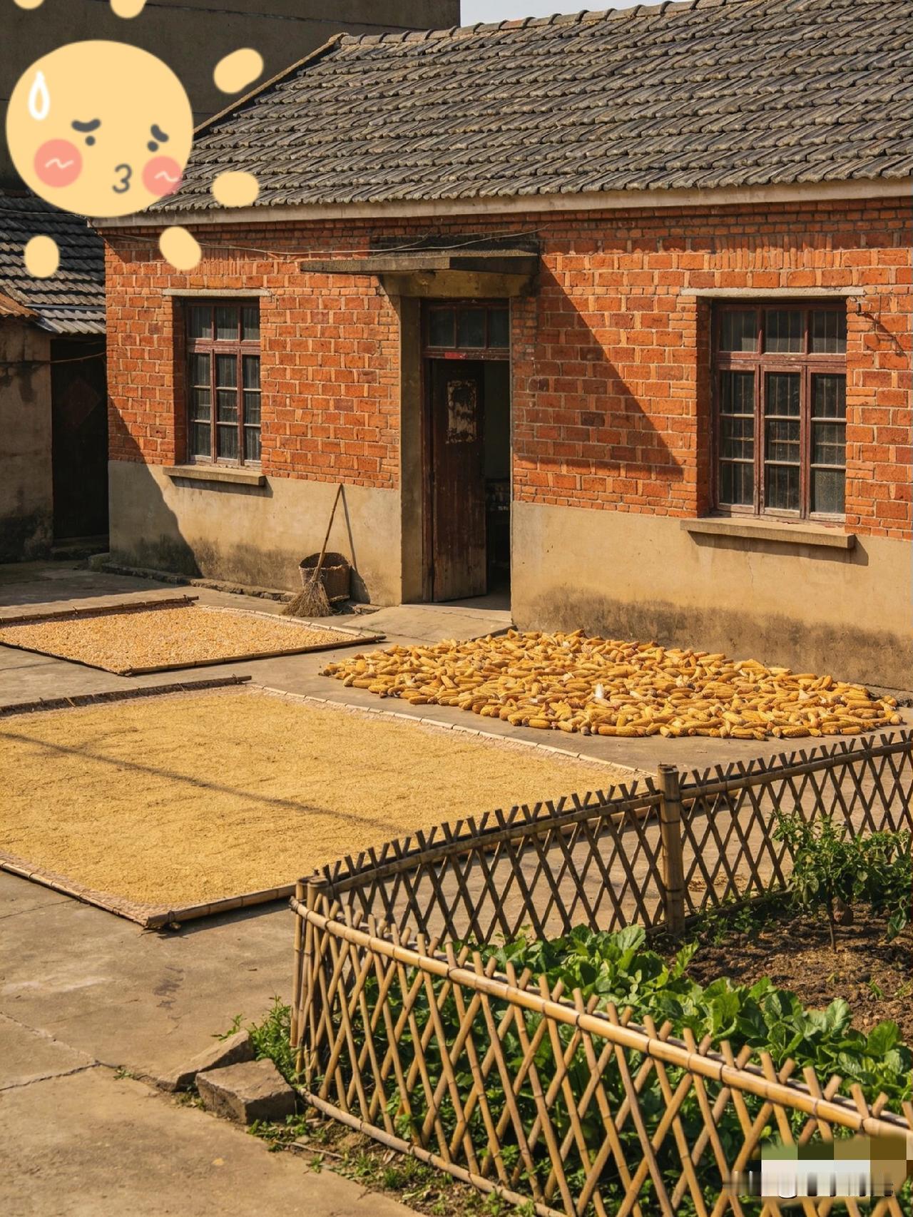 一号文件一下来，不少城镇户口的人都在感慨选择的重要性！2026年中央一号文件已