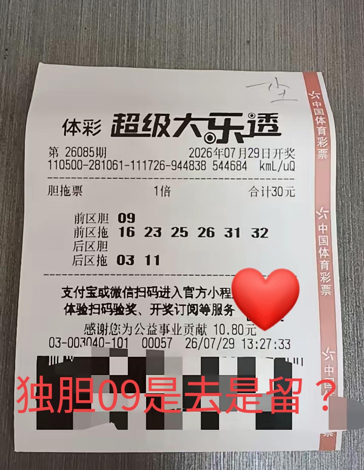 独胆09是去是留？