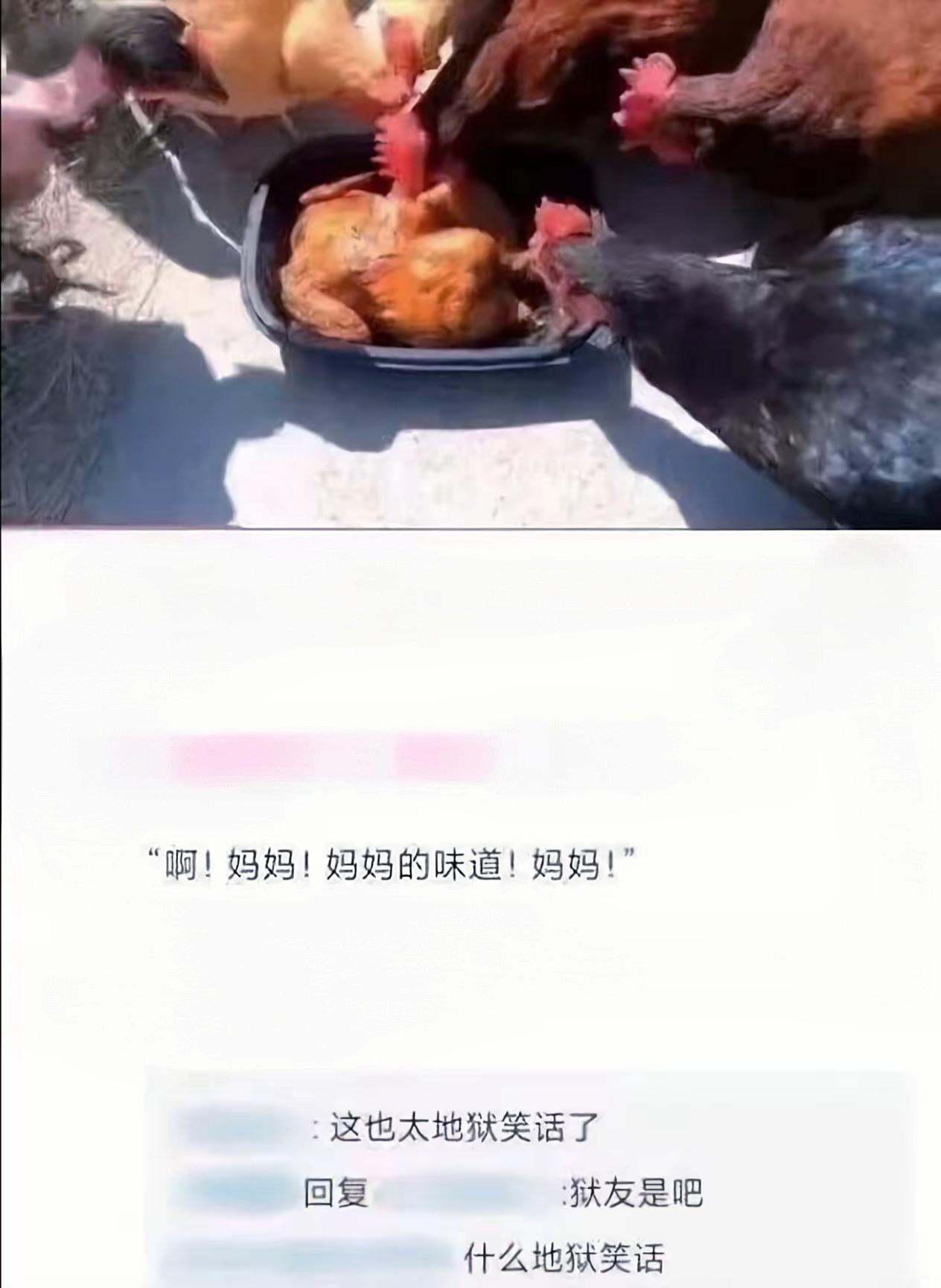 这才是妈妈的味道