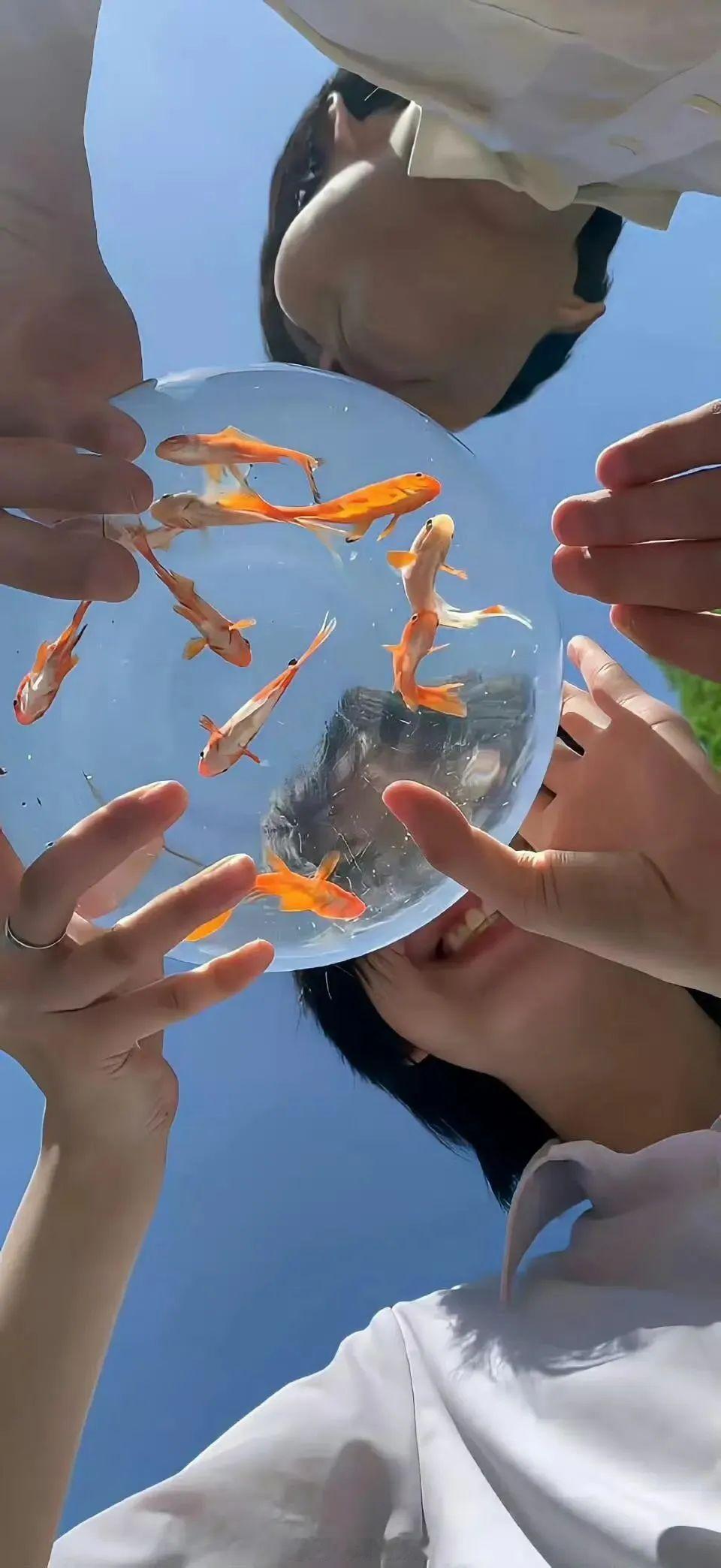 夏天永远热烈，我我爱的少年也是。——《告白》晚安言情小说推荐​​​