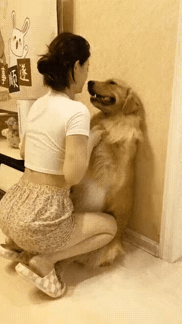 狗狗完全生无可恋的样子