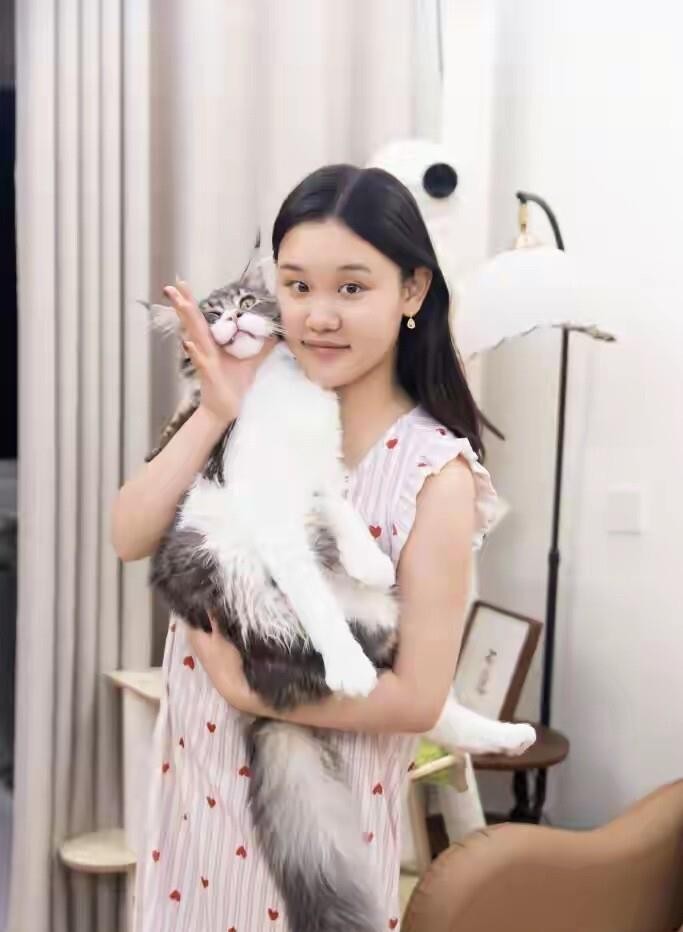 张家齐退下来后聊全红婵陈芋汐那段，把跳水队最真实的那层窗户纸捅破了。训练池边三个人盯的是同一块奥运名