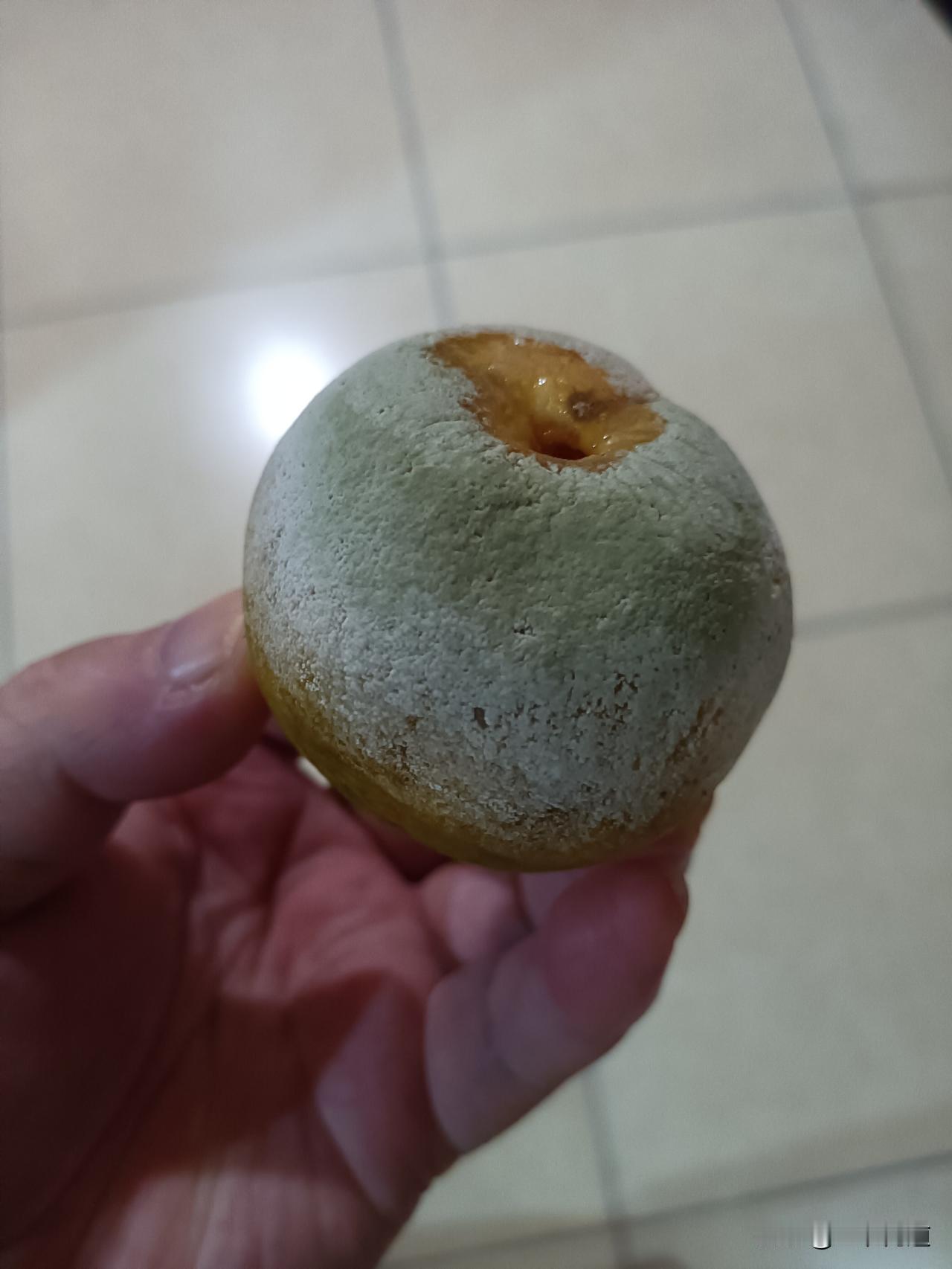 之前网上说培养菌体标本很难，我这个橘子放在那里几天这样了，还没扔垃圾桶，有看上的