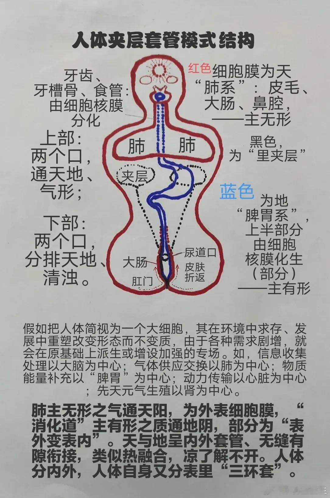 治未病当精究病源扁鹊曰:长兄于病视神，未有形而除之。夫治未病，当精究病