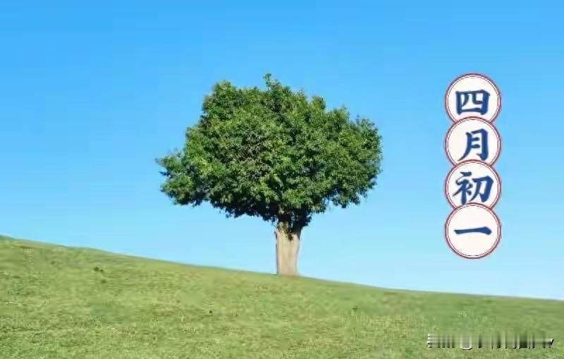 今日四月初一，不论多忙，牢记:吃三样，忌三样，三不做，安稳渡夏！今天是农历