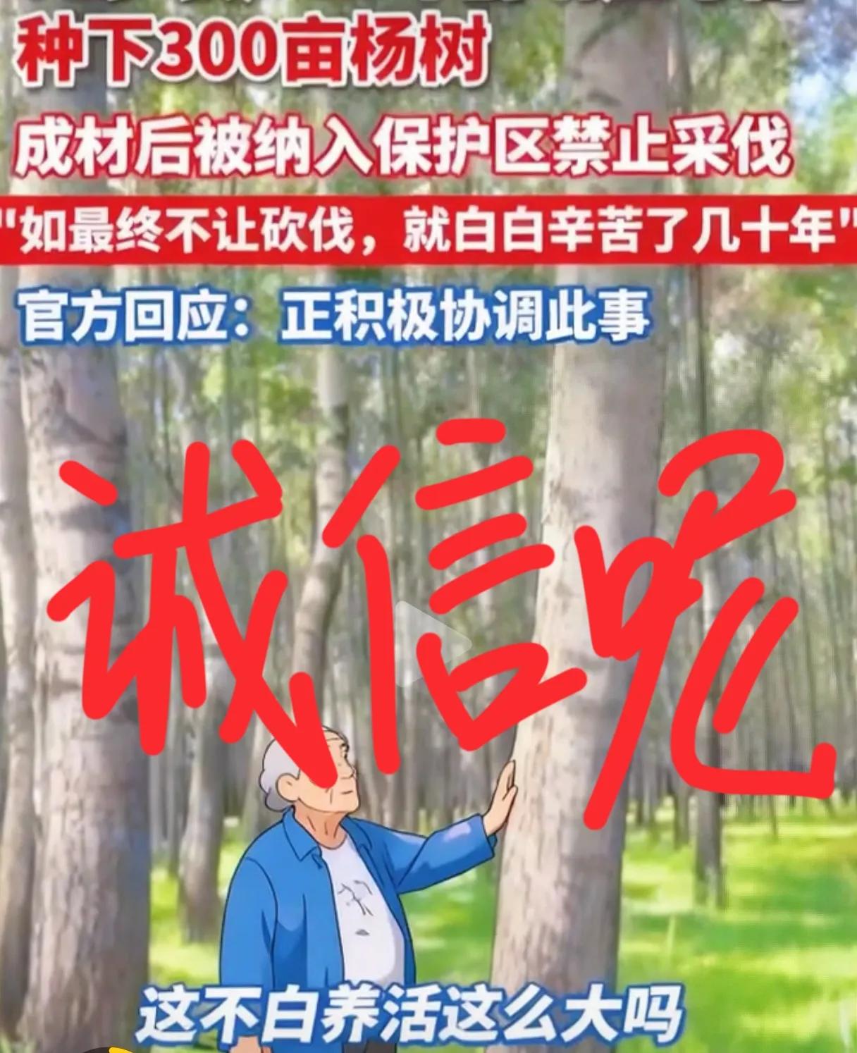 天方夜谭！不可思议！农户响应号召种树，成材后不让采伐，没有任何补偿和说法，这
